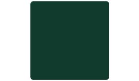 DOR - zonder folie - groen RAL 6005 - 600x600 mm