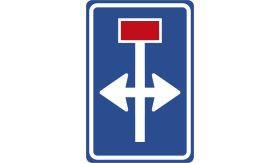 Verkeersbord Re-Sign 20 jaar - RVV model L09-08 - 400x600 mm